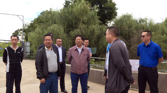 区委书记调研防汛