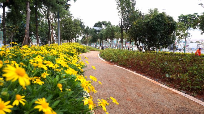 路两侧游园带