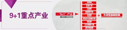 5.webp
