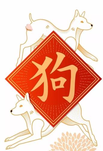 8.webp