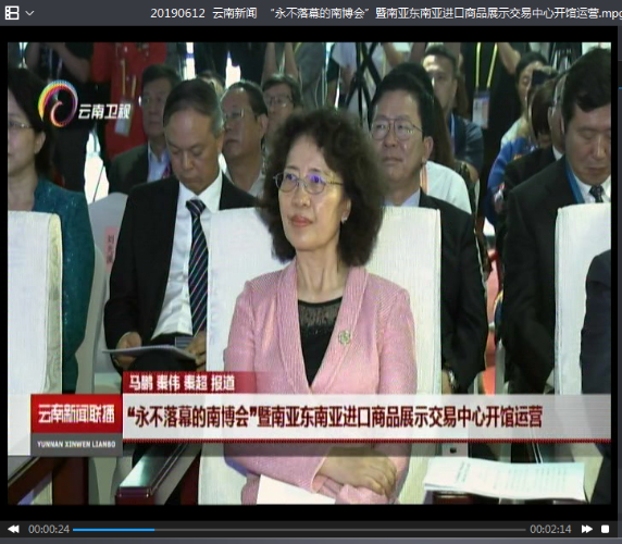 20190612  云南新闻  “永不落幕的南博会”暨南亚东南亚进口商品展示交易中心开馆运营