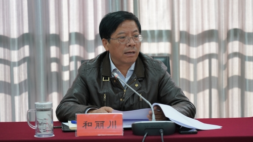 区委书记和丽川做讲话