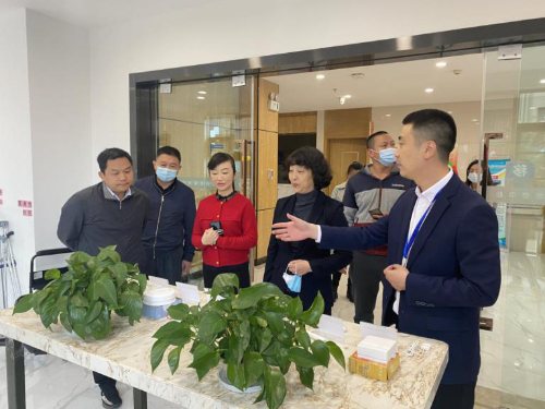云南省民政厅吴玉荣副厅长率队调研官渡区养老服务工作