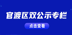 双公示