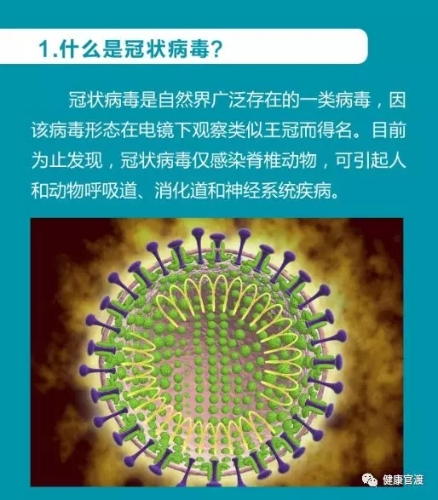 640.webp (1)