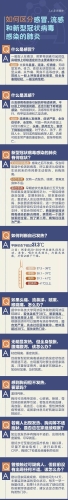 640.webp (7)