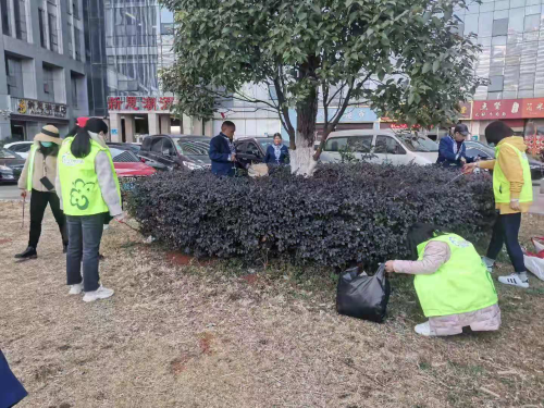 图片5