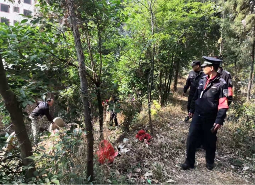 图片2