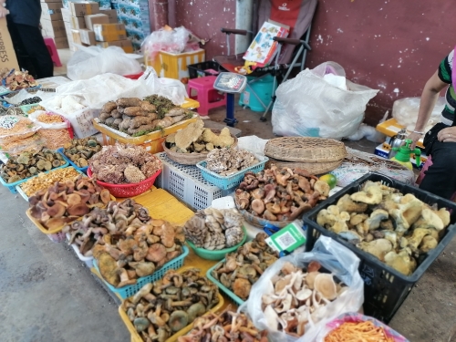 微信图片_20210913102742