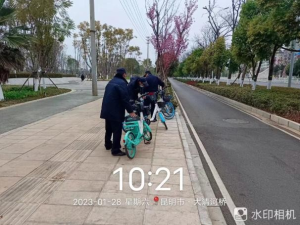 图片1