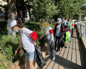 太和信息第11期——太和街道严格落实城市管理长效机制  共建和谐美丽家园1395