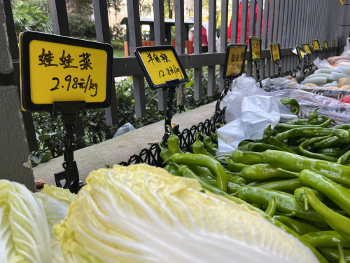 图片7