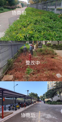 图片15