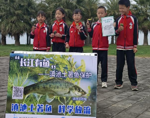图片11