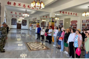 图片3