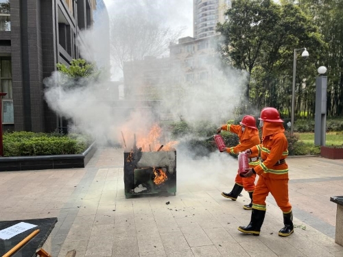 图片7
