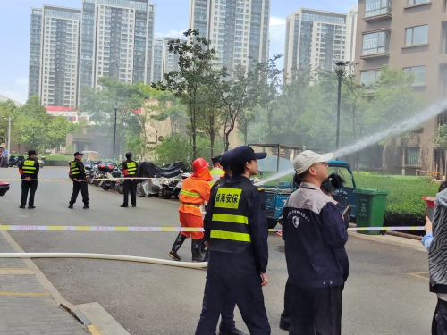 图片11