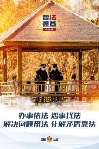 普法强基海报-02