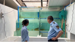 （工作简讯第174期）“当好排头兵”大讨论大竞赛 关上市场监督管理所持续开展“十年禁渔”检查工作429