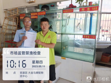 （工作简讯第210期）“当好排头兵”大讨论大竞赛 金马市场监督管理所多项措施开展“十年禁渔”专项检查整治544