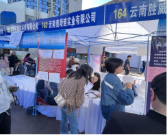 太和信息第102期——太和街道：打好“组合拳”  增加“压舱石”  全力稳就业促发展549
