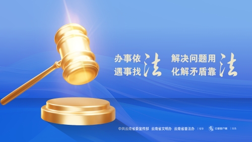 办事依法 解决问题用法