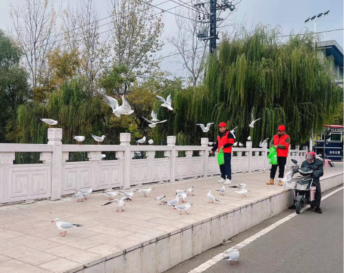 图片195