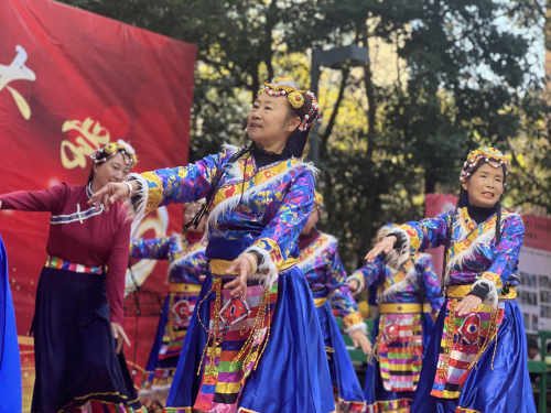 图片4