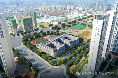 微信图片_20240624093344