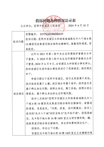 D3YN202406080019投诉问题办理情况公示表_页面_1