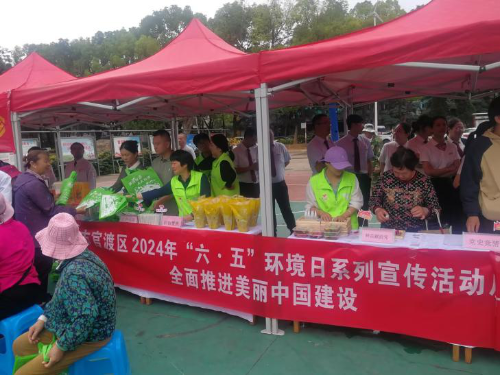 图片4