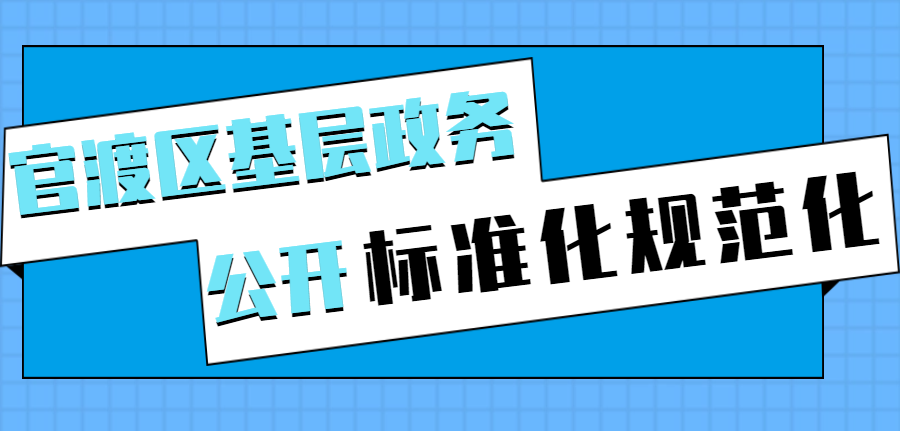 基层政务公开标准化规范化
