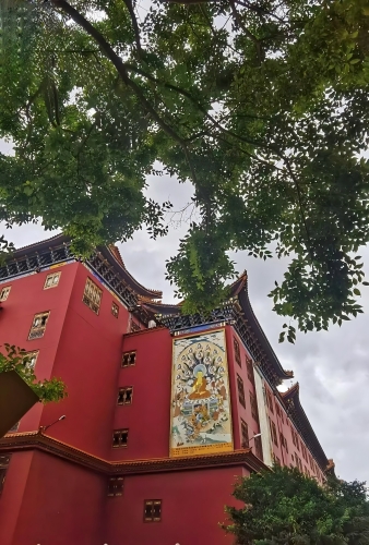 微信图片_20241101095641