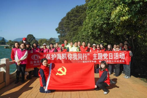 图片5