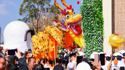 图片2