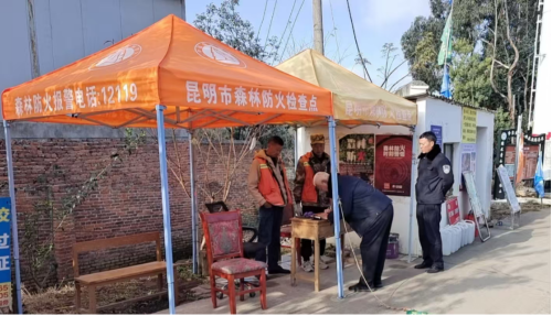 图片1