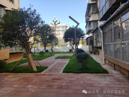 下足绣花真功夫，绘就宜居新图景