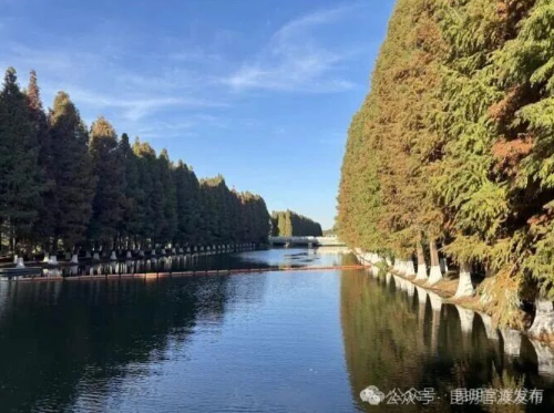 ScreenShot_2026-02-03_153652_867