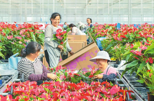 微信图片_2026-02-10_112826_677