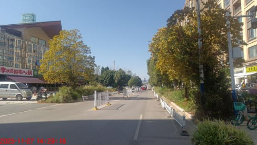 处置后照片 处置后照片