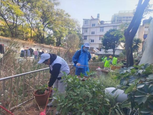 WPS图片(3) WPS图片(3)