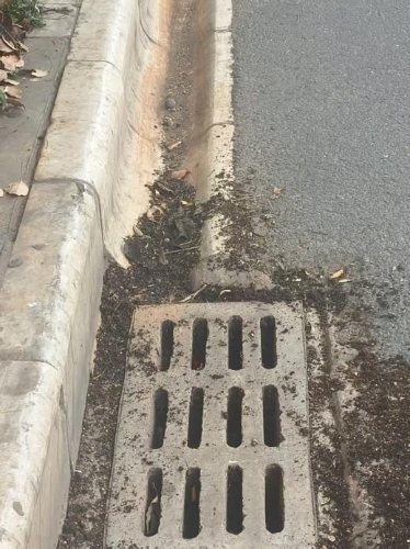 图片1 图片1