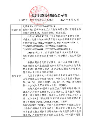 12.D3YN202405200019投诉问题办理情况公示表_01