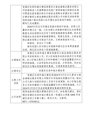 12.D3YN202405200019投诉问题办理情况公示表_02
