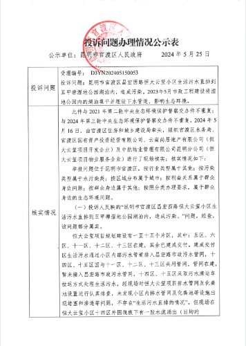 公示表D3YN202405150053-1