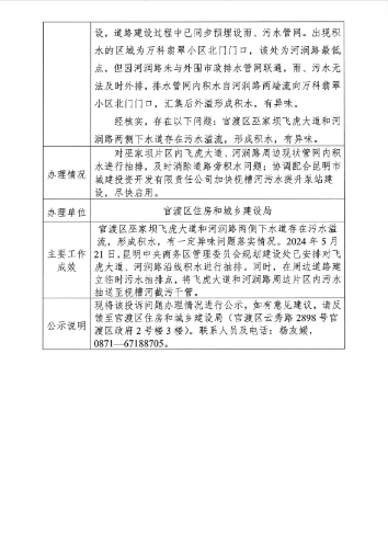 公示表D3YN202405190065-2