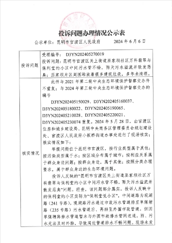 公示表D3YN202405270019-1