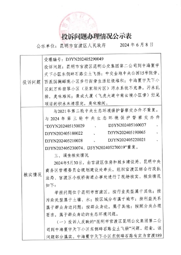 公示表D3YN202405290049-1