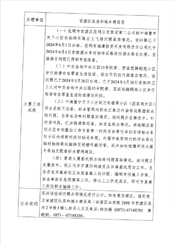 公示表D3YN202405290049-4