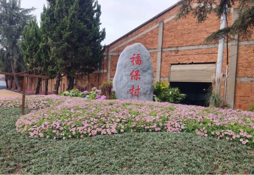图片12